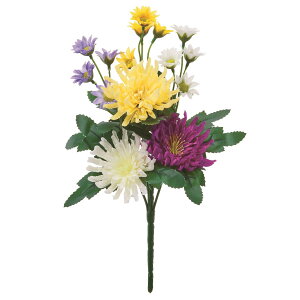   yԁzAXJ/ ~bNX/A-35221-46y01z dp p  tďH~