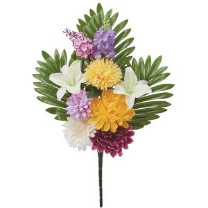   yԁzAXJ/ ~bNX/A-35226-46y01z dp p  tďH~