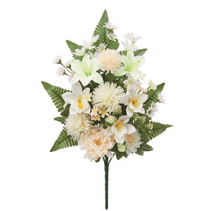   yԁzAXJ/ ~bNX/A-35229-46y01z dp p  tďH~