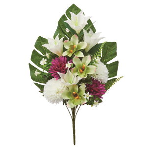   yԁzAXJ/ ~bNX/A-35230-46y01z dp p  tďH~