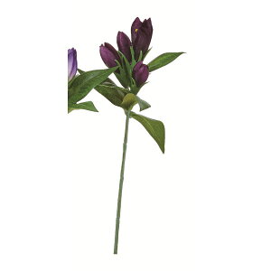 yԁzAXJ/hEsbN _[Np[v/A-35091-7Dy01z ԁiA[eBtBVt[j  ԍށusv hE