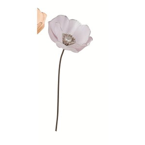 yԁzAXJ/AllsbN zCgx_[/A-39687-6Wy01z ԁiA[eBtBVt[j  ԍށusv All