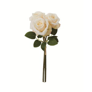 yԁzAXJ/[Yo`i13{j AC{[/A-35081-91y01z ԁiA[eBtBVt[j  ԍށu͍sv o