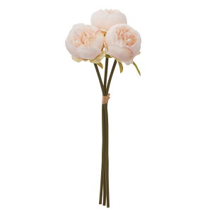 yԁzAXJ/sIj[o`i13{j AC{[sN/A-35199-91Py01z ԁiA[eBtBVt[j  ԍށusv VNNi䉖jE{^iOjEsIj[