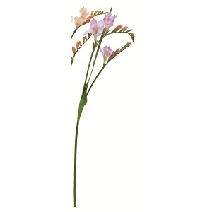 yԁzAXJ/t[WA CbN/A-35101-17y01z ԁiA[eBtBVt[j  ԍށu͍sv t[WA