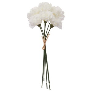 yԁzAXJ/~jJ[l[Vo`i16{j zCg/A-35233-1y01z ԁiA[eBtBVt[j  ԍށusv J[l[V