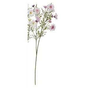 yԁzAXJ/f[W[×12 x_[/A-35100-6y01z ԁiA[eBtBVt[j  ԍށusv f[W[