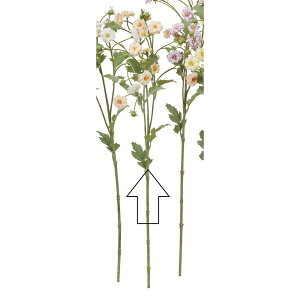 yԁzAXJ/~jt[Xv[×15 ڂ×9 s[`/A-35127-4y01z ԁiA[eBtBVt[j  ԍށu܍sv ̑u܍svԉԍ