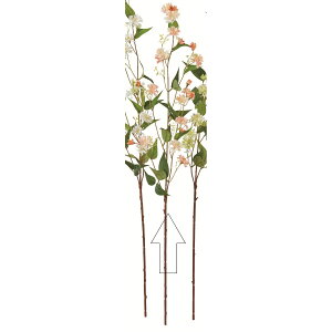 yԁzAXJ/~jt[Xv[×22 \tgs[`/A-35104-4Sy01z ԁiA[eBtBVt[j  ԍށu܍sv ̑u܍svԉԍ