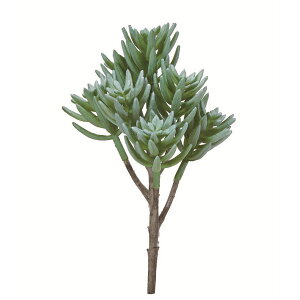 yԁzAXJ/TbJe tXgO[/A-44643-51Fy01z ԁiA[eBtBVt[j ԗtAtFCNO[ A