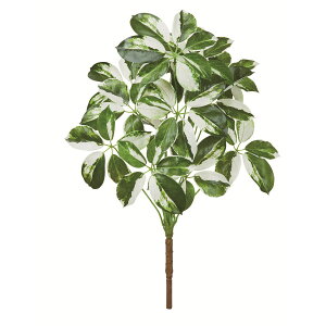 yԁzAXJ/VFtubV @QCgO[/A-44609-51Vy01z ԁiA[eBtBVt[j ԗtAtFCNO[ ̑̑ԗtEtFCNO[