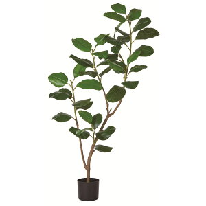 ylHϗtAzAXJ/S̖؁i|bgtj O[/A-51122-51Ay01z ԁiA[eBtBVt[j ԗt ԁElHϗtA `150cm