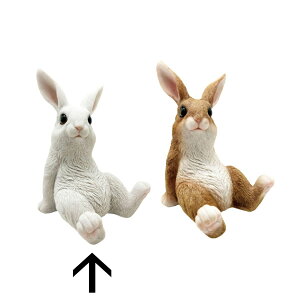 ۘaf/`AtofB ܂胉rbg iLj zCg/400954601y07z K[fjOE|pi K[fjOG݁EI[ig uEI[ig