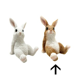 ۘaf/`AtofB ܂胉rbg iLj uE/400954602y07z K[fjOE|pi K[fjOG݁EI[ig uEI[ig