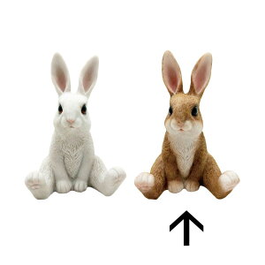 ۘaf/`AtofB 胉rbg iLj uE/400954802y07z K[fjOE|pi K[fjOG݁EI[ig uEI[ig