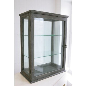 RxgK[f/mA[ERNVVFt /IX-46y07z X܃fBXvCEX X܉ƋEYE[ fBXvCP[X