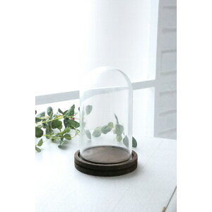 RxgK[f/~jh[ /HX-28y07z ԊA[X ԊEԕr h[AKXh[