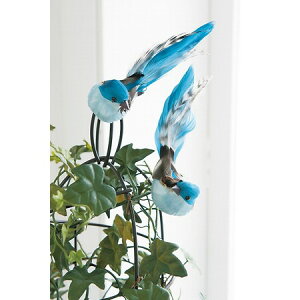 RxgK[f/u[o[hEA\[g /UT-01y07z ԎށEt[Xg t[sbN Eo^tCsbN