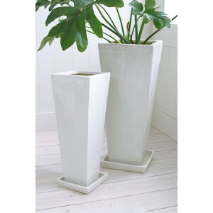 RxgK[f/AbVEOXNGA2_Zbg /PX-09y07z ԊA[X ԊEԕr Ԋ