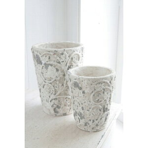 Aؔ  RxgK[f/uVFEACr[ 2_Zbg /QY-18y07z K[fjOE|pi t[|bg EZ~bN