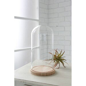 RxgK[f/g[h[/HX-29y07z ԊA[X ԊEԕr h[AKXh[