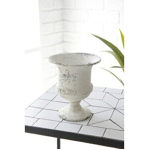 Aؔ  RxgK[f/RREz[[Jbv/RY-07y07z K[fjOE|pi t[|bg ACAEuL