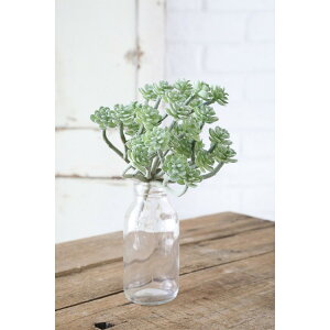 yԁzRxgK[f/AIGjEsbN/OP-07y07z ԁiA[eBtBVt[j ԗtAtFCNO[ A