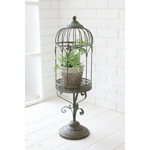 RxgK[f/FfEX^hK[{/GK-69y07z K[fjOE|pi K[ft@j`[EƋ v^[X^h