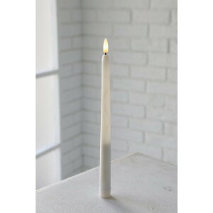 �R�x���g�K�[�f��/�f�R�X�e�B�b�NLED�L�����h��/IB-05�y07�z LED�L�����h�� ���̑�