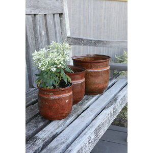 RxgK[f/R[X^CEW[Jbv 3_Zbg/BD-04y07z K[fjOE|pi AؔEt[|bg Jo[