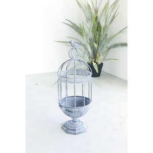 RxgK[f/|BEvcP[W/XB-03y07z K[fjOE|pi K[ft@j`[EƋ v^[X^h