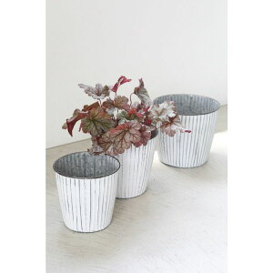 Aؔ  RxgK[f/CEEh|bg 3_Zbg/BP-09y07z K[fjOE|pi t[|bg ACAEuL