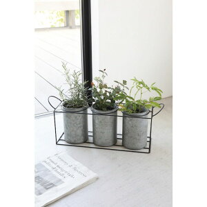 Aؔ  RxgK[f/gvEt[|bg/BZ-02y07z K[fjOE|pi t[|bg ACAEuL