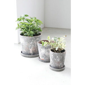 Aؔ  RxgK[f/Rb^|bg 3_Zbg/PT-55y07z K[fjOE|pi t[|bg Zg