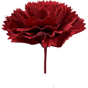 Gracias/J[l[ViCjM BIGt[V[Y/P-319y01z ԁiA[eBtBVt[j  ԍށusv J[l[V