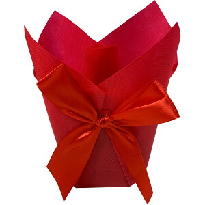 Gracias/hX|bgJo[4ibhj/C-357y01z[10] bsOpi A bsOy[p[() ^b`