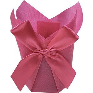 Gracias/hX|bgJo[4isNj/C-358y01z[10] bsOpi A bsOy[p[() ^b`