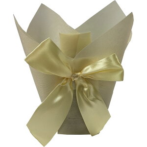 Gracias/hX|bgJo[4iAC{[j/C-359y01z[10] bsOpi A bsOy[p[() ^b`