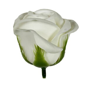 yΖӃZ[zy\[vt[zGracias/\[vt[wbh[YM }` 150֓/F-298y01z vU[uht[ tOX\[vt[ \[vt[ԍ