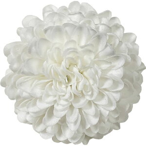 yΖӃZ[zy\[vt[zGracias/wbh||} 128փzCg/F-295y01z vU[uht[ tOX\[vt[ \[vt[ԍ