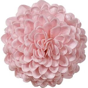 yΖӃZ[zy\[vt[zGracias/wbh||} 128փsN/F-296y01z vU[uht[ tOX\[vt[ \[vt[ԍ