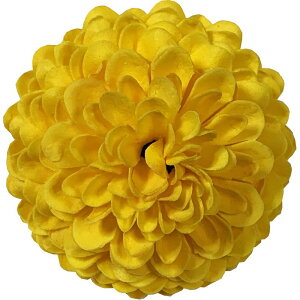 y\[vt[zGracias/wbh||} 128փCG[/F-297y01z vU[uht[ tOX\[vt[ \[vt[ԍ