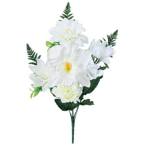   yԁzYDM/JgA~bNXubV/FP-1079-Wy01z dp p  tďH~