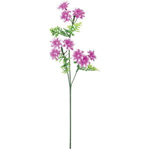   yԁzYDM/PEXv[}/FFK-0015-LAVy01z dp p  tďH~