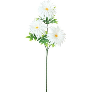   yԁzYDM/PE}×3/FFK-0016-Wy01z dp p  tďH~