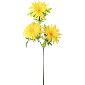   yԁzYDM/PE}×3/FFK-0016-Yy01z dp p  tďH~