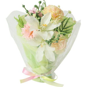   yԁzYDM/J[l[|bgSS/FP-1118-MIXy01z dp p  tďH~