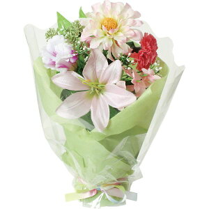   yԁzYDM/_A[|bgM/FP-1123-MIXy01z dp p  tďH~