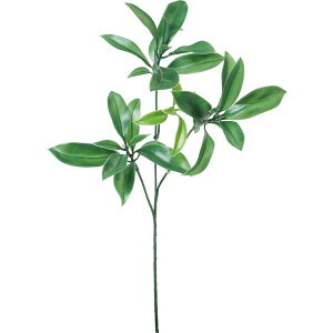 yԁzYDM/PEVLr/FG-5406-GRy01z ԁiA[eBtBVt[j ԗtAtFCNO[ TJL