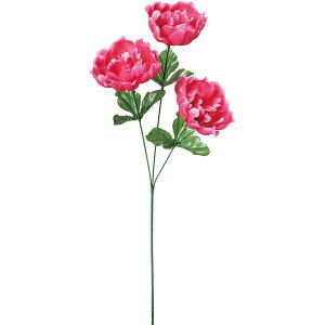 yԁzYDM/sIj[×3/FF-3119-BTYy01z ԁiA[eBtBVt[j  ԍށusv VNNi䉖jE{^iOjEsIj[